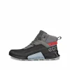 ECCO BIOM 2.1 X MOUNTAIN M> Støvler | Gore-tex