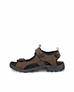 ECCO OFFROAD> Outdoor | Sandaler