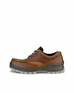ECCO TRACK 25 M> Gore-tex | Casual